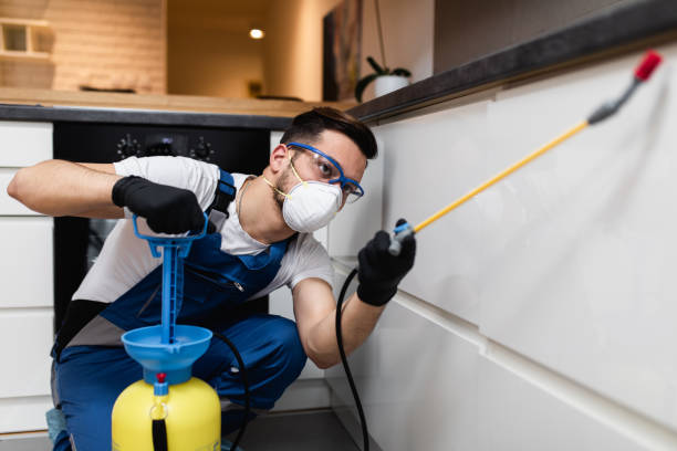 Best Flea Control Services  in Hoer, OK