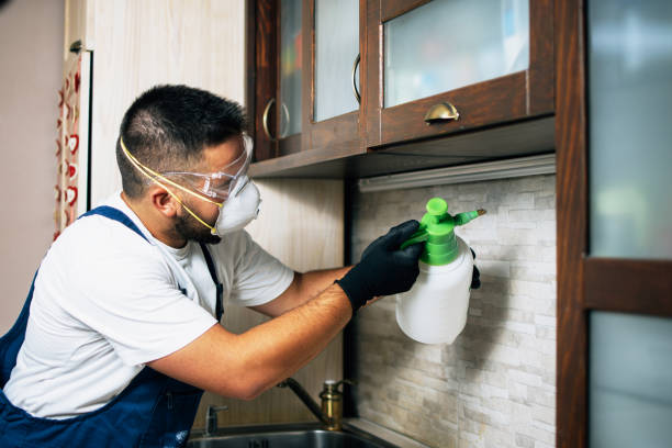 Best Termite Control Services  in Hoer, OK