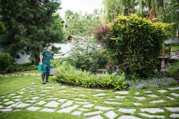 Best Affordable Pest Control Services  in Hoer, OK