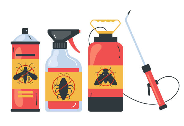 Best Wasp Removal Services  in Hoer, OK