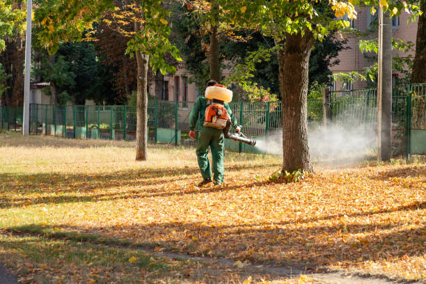 Best Insect Control  in Hoer, OK
