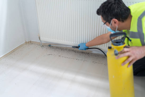Best Exterminator Services  in Hoer, OK